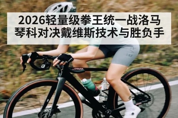 2026轻量级拳王统一战洛马琴科对决戴维斯技术与胜负手